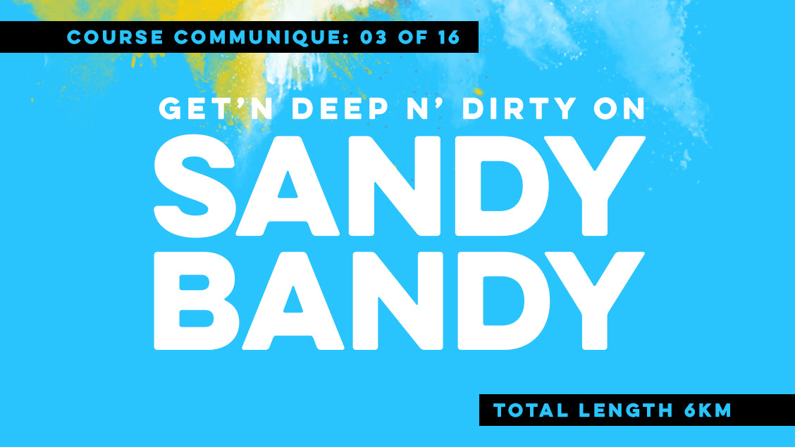 sandy bandy