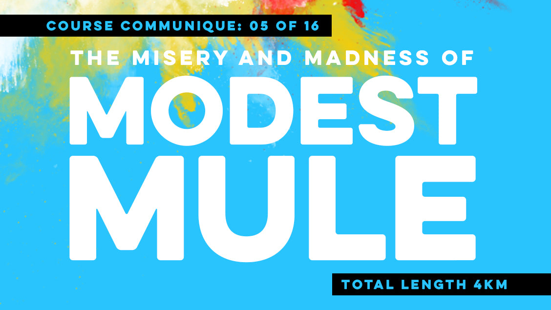 modest mule