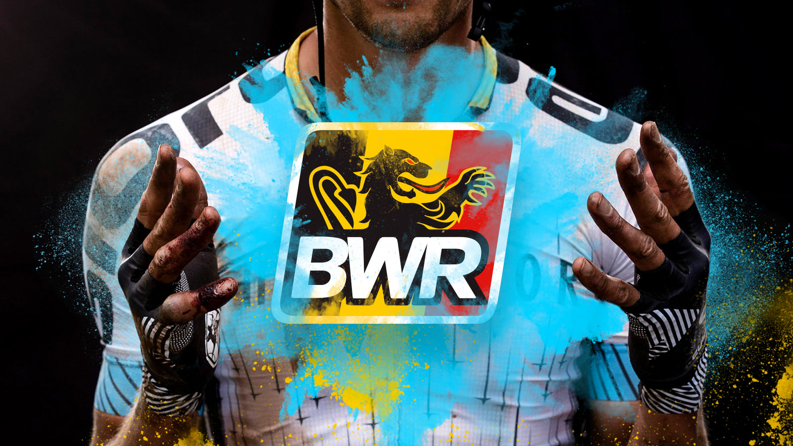 BWR LOGO